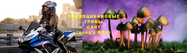 apvp Лагань