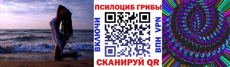 Псилоцибиновые грибы прущие грибы  как найти   Рубцовск 